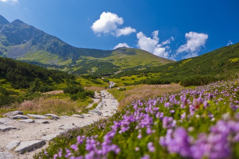 Zakopane apartamenty z jacuzzi – top 5 wyjątkowych miejsc na wypoczynek